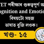 ctet15